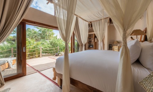 Jungle Suite Upper